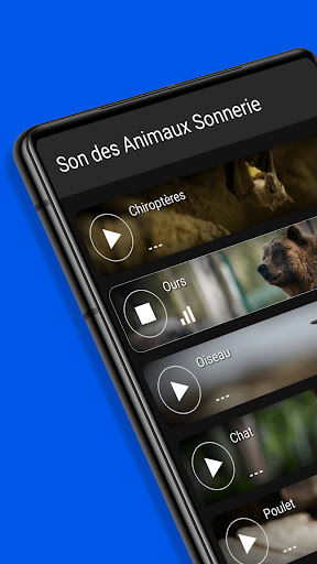 Aperçu de l'application
