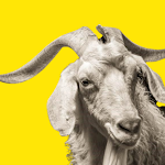 Cover Image of Download GoatChat Ai - Talk to Legends  APK
