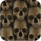 Wallpapers skulls. icon