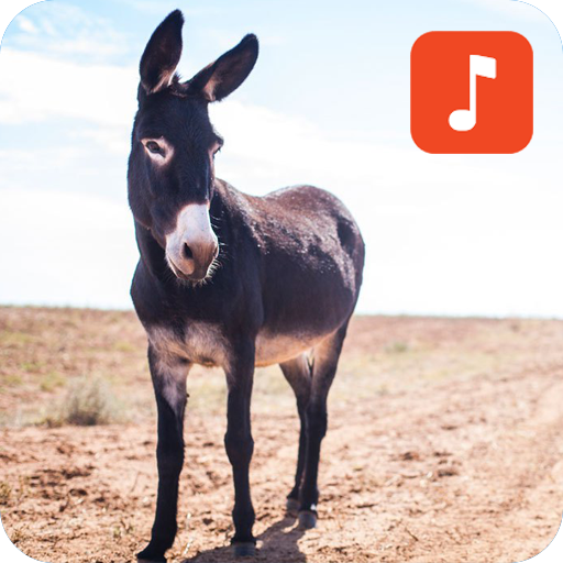 Donkey Sound Effects