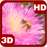 Summer Bee on Clover Flower icon