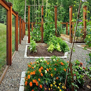 Vegetable Garden : Charming Design