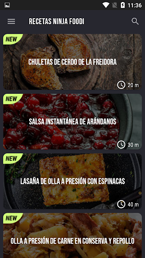 Vista previa de la aplicación