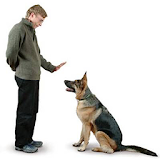 Training A Dog For Show icon