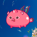 Cover Image of Download Axie Infinity Scholarships 0.3 APK