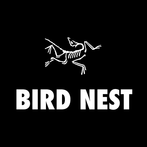 Bird Nest Download on Windows