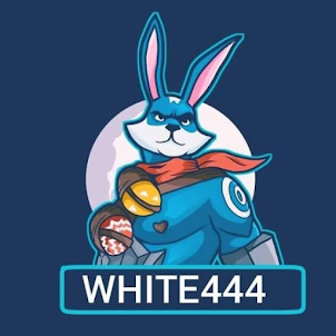 VPN White 444