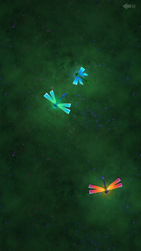 Cat Toy - Game for Cats Screen 2