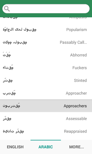 English Arabic Dictionary Screen 3