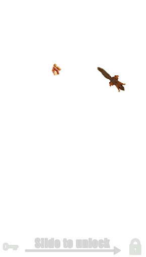 Flying Animals wild Simulator – Apps no Google Play