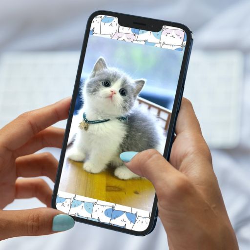 Cute Cats Wallpaper logo