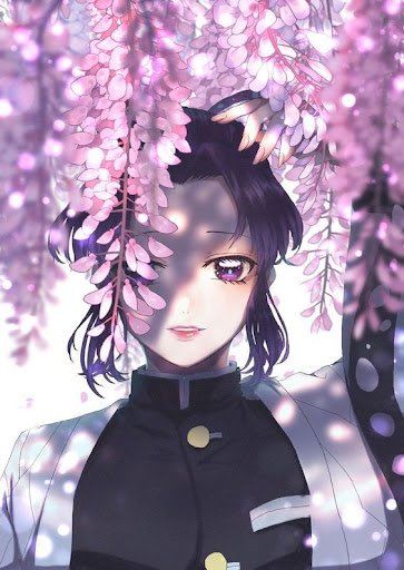 Wallpaper HD Sinobou Kochou