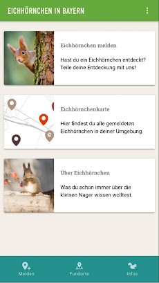 Eichhörnchen in Bayernのおすすめ画像5