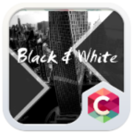 Black White Theme  Icon