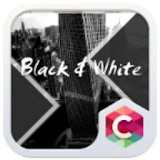 Black White Theme icon