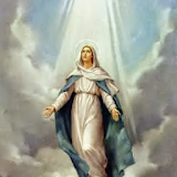 Paroki St. Maria Asumpta icon