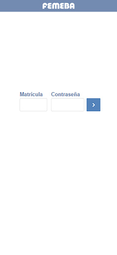 FEMEBA Fol2PM Screen 2