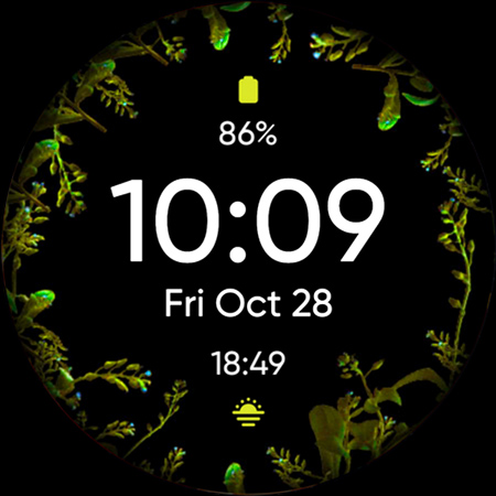 Botanical Watch Face
