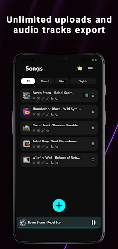 Splitteroo: Vocal Remover Screen 3