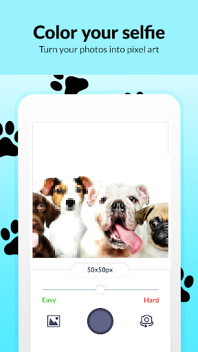 Screenshot of Dog Pixel Art Paint by Numbers
