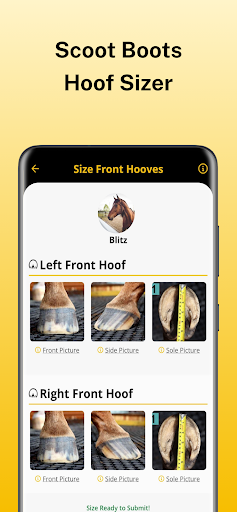 Android application Scoot Boots - Hoof Sizer screenshort