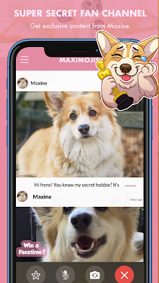 MaxiMojis - Corgi Dog Stickersのおすすめ画像5