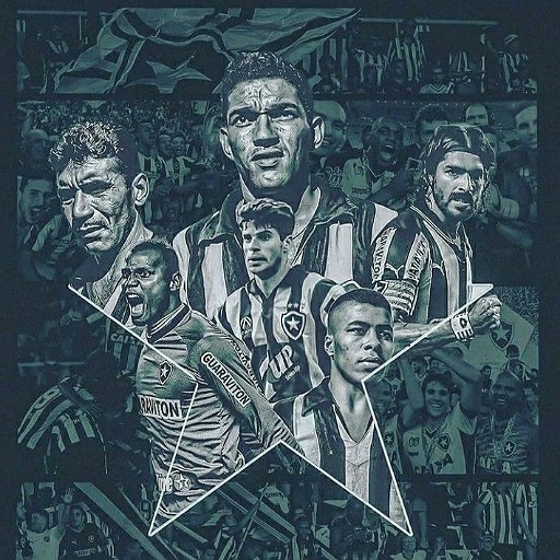 Wallpapers for Botafogo FR