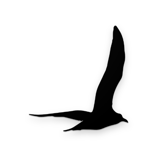 深度背单词 logo