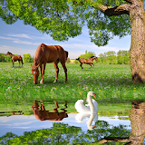 Horses Live Wallpapers icon