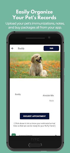 Screenshot of Pampered Paws Tifton