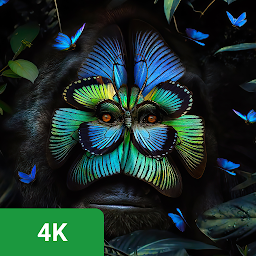 Nature Wallpapers - HD, 4k की आइकॉन इमेज