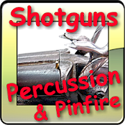 Percussion & pinfire shotguns