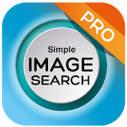 search by image on web (reverse image search)