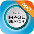 search by image on web (reverse image search)1.4.5