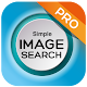 search by image on web (reverse image search) Download on Windows