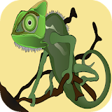 Top Free Animal Games: Lizards icon