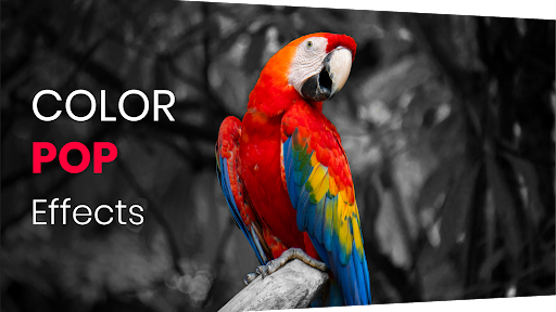 Color Pop Effects Photo Editor - Photography - apps
