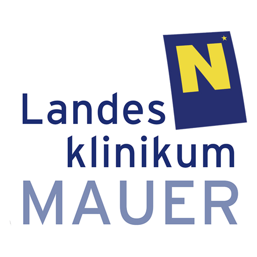 LK Mauer logo