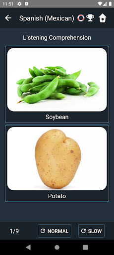 Screenshot of Mexican Spanish Language Tests