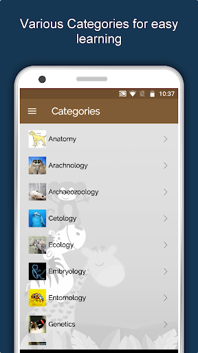 Zoology: Animal Kingdom Study Screen 2