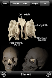Skeletal Anatomy 3D Screenshot