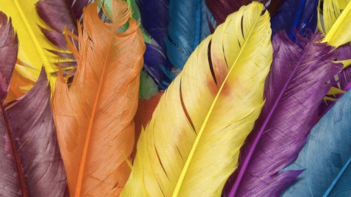 Cool Wallpapers Background HD Screen 2