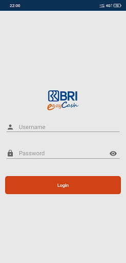 BRIEazyCash Screen 2