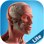 Anatomy Game Anatomicus Lite Apk