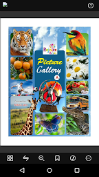 Picture Gallery A