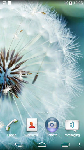 Android application Dandelion Live Wallpaper screenshort