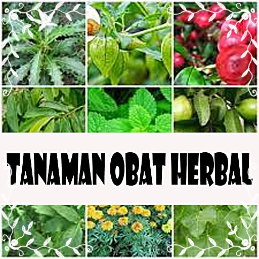 Rangkuman Tanaman Obat