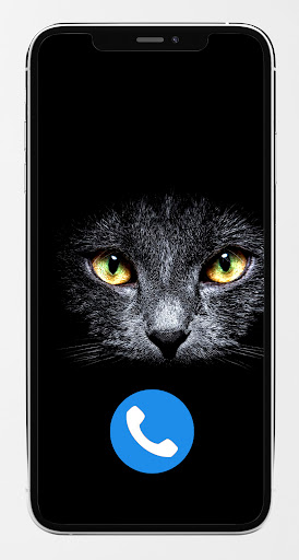 Cat Fake video call – fake chat with cat call game