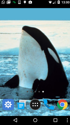 whale fish wallpaper Screen 2