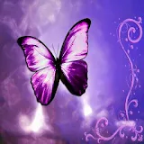 BUTTERFLY WALLPAPERS icon